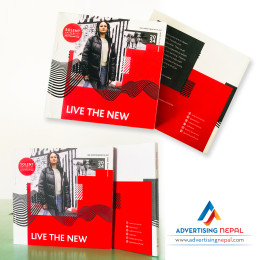 Branding and Brochure Printing Job