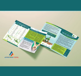 Brochure Designing and Printing work